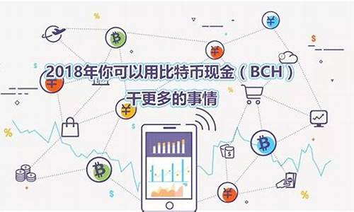 bch可以转到btc钱包吗(bch能存b