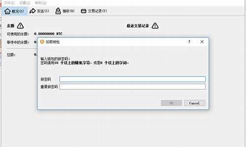 比特币钱包设置密码(比特币怎么设置密码)