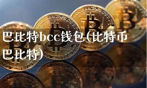 比特币钱包 bcc(比特币钱包被盗事件)(图1)